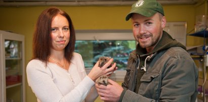 Niezwykła misja Agi i Sławka. "Ratujemy zwierzęta z lasu"