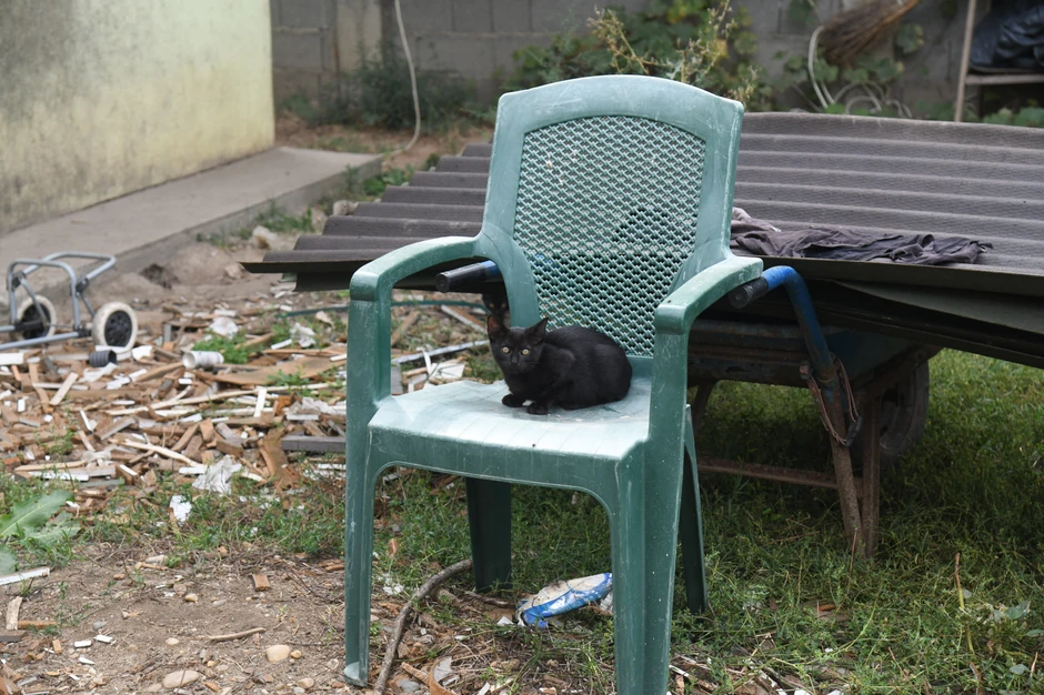 Snežana Pavlović ima dosta ljubimaca 