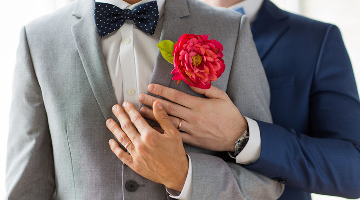 Még e hét pénteken elfogadhatják a melegházasságot Németországban / Illusztráció: Shutterstock