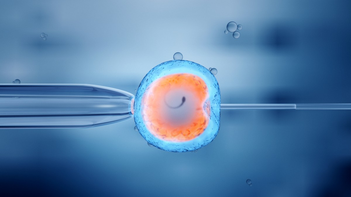 Metoda in vitro. Luka w prawie uderza w samotne kobiety