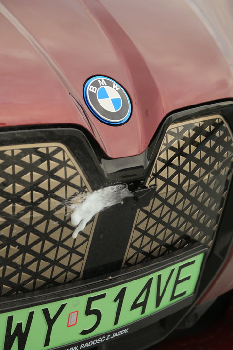 BMW iX xDrive 50 (2021 r.)