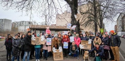 Rzeź kasztanowców przy Raciborskiej. Katowiczanie nie przebierają w słowach