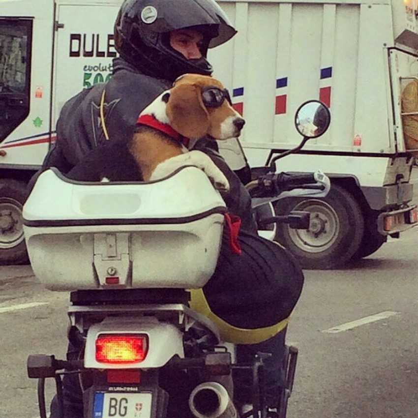 Marko i Žak sa celom opremom