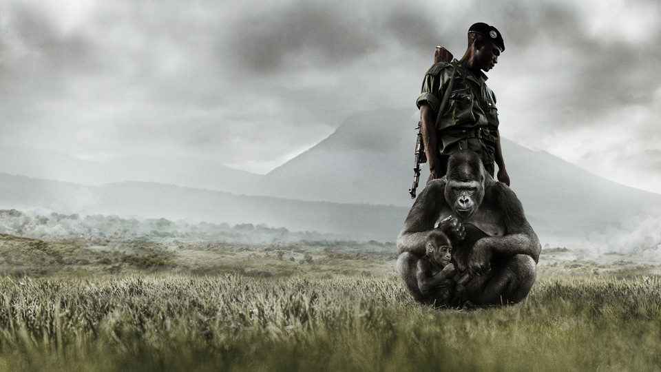 "Virunga" - kadr z filmu