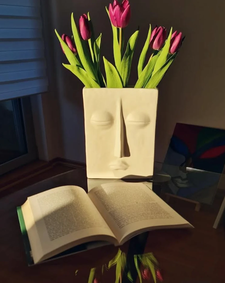 Dom Dragane Kosjerine