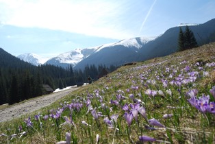 Prognoza na poniedziałek 1 kwietnia. Jaka będzie pogoda?