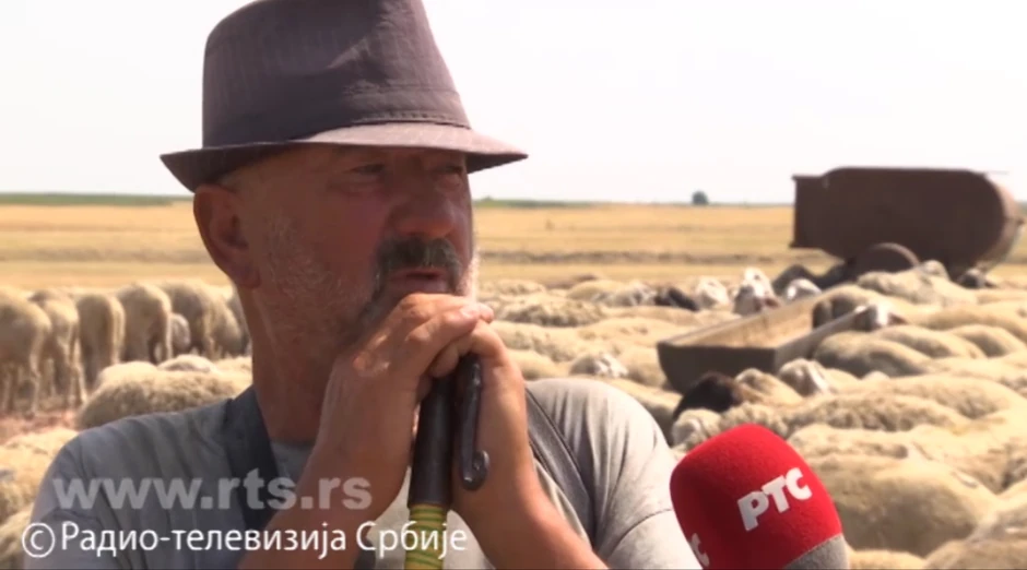 pastiri susa 09 foto Screenshot RTS