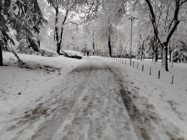 Sneg, Tašmajdanski park