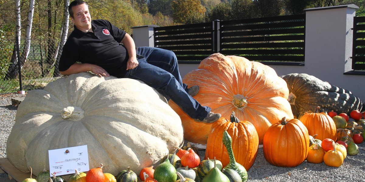 Pan Mateusz wyhodował dynie giganty i ustanowił tegoroczny rekord Polski. Dynia Anastazja waży 746,5 kg, a dynia Maja 679 kg