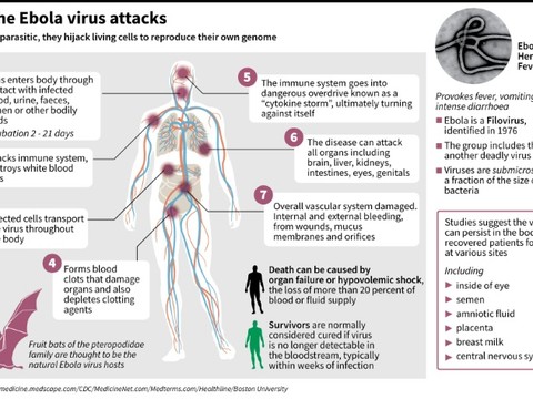 Japan launches human trial of new Ebola vaccine