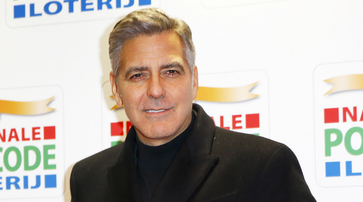 George Clooney a szüleinek ajándékozta a beteg kutyust / Fotó: Northfoto