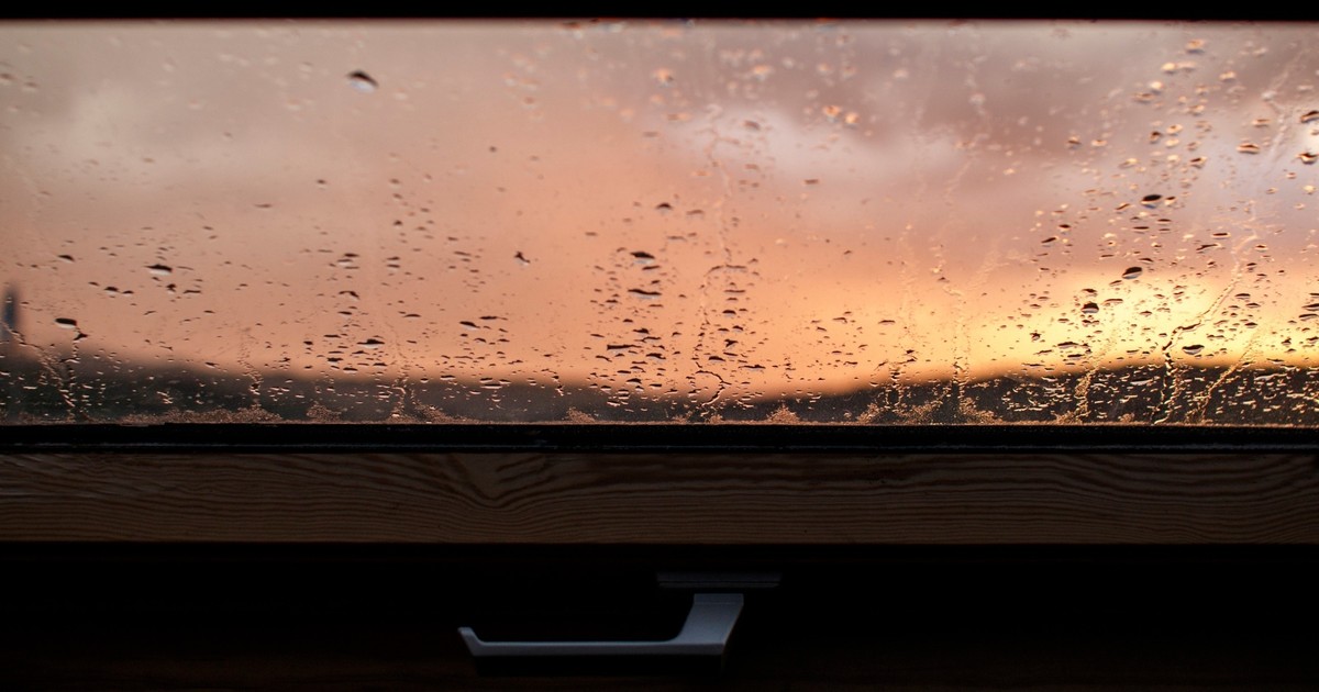 Jak pozbyć się wilgoci z domu? Oto najprostsza metoda. Wystarczy jeden składnik z kuchni