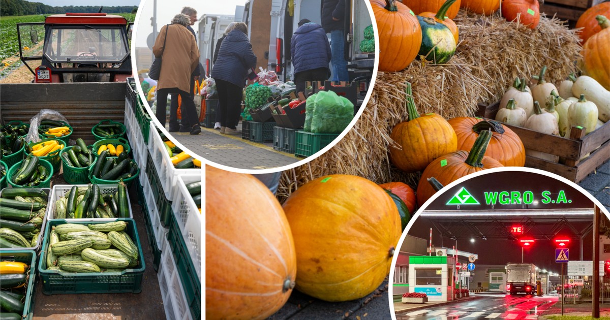 Kręta droga warzyw z pól do sklepów. To tam cena rośnie nawet o 1000 procent