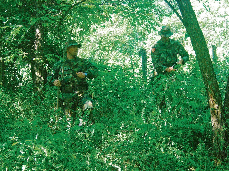 JEZIVO: U šumi je nađena samo dečakova lobanja