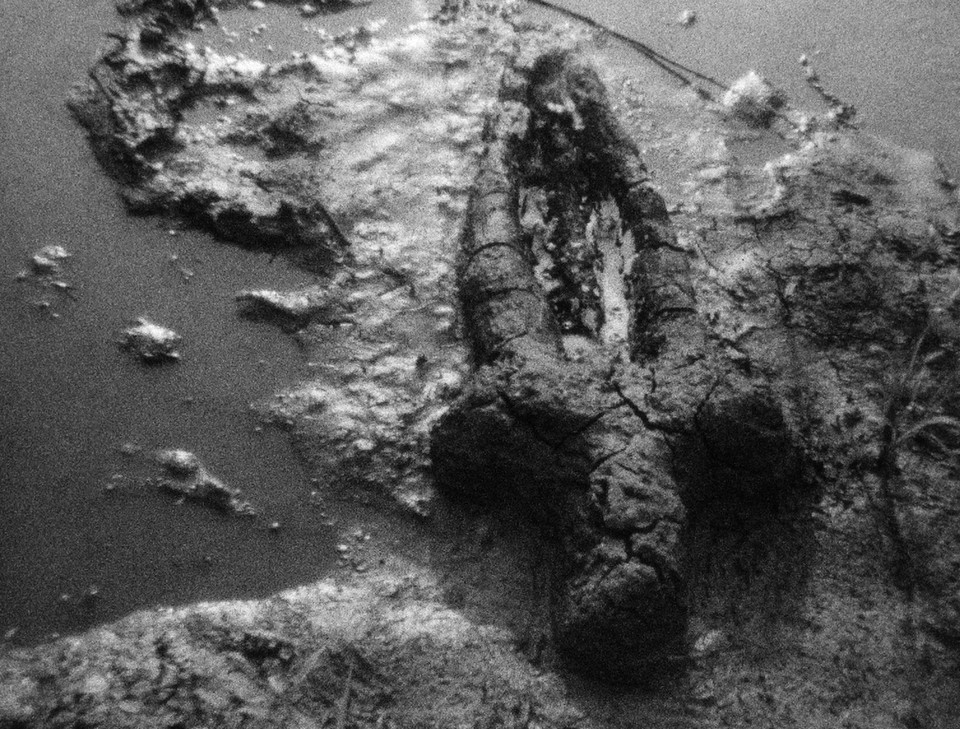 Ana Mendieta, Narodziny (Prace z prochem), 1981, film 8mm przeniesiony na HD, © The Estate of Ana Mendieta Collection, LLC Galerie Lelong & Co., New York