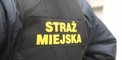 Seksafera w straży miejskiej! Komendant wymuszał...