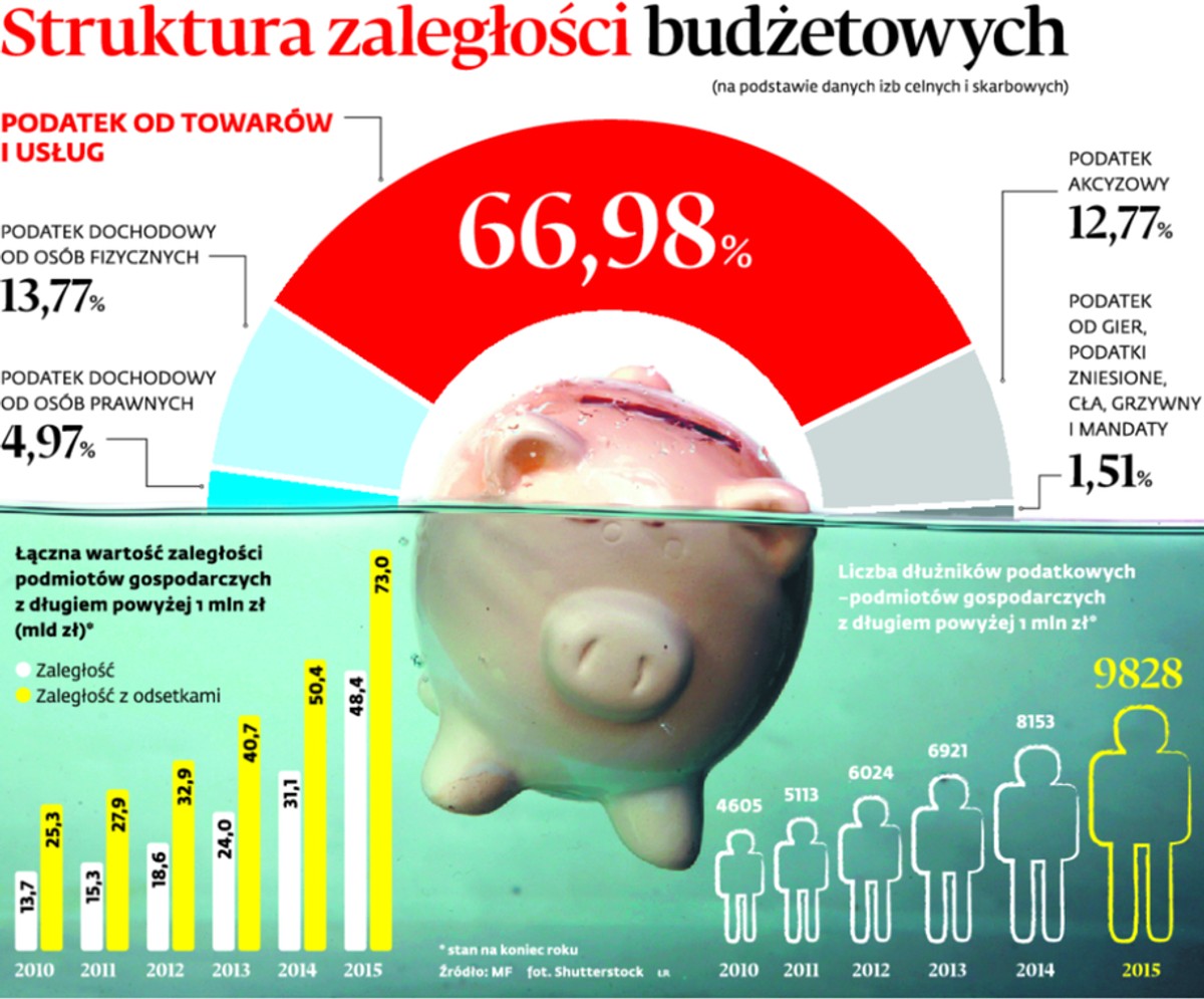 Struktura zaległości budżetowych