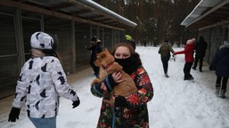 „czekały godzinami na mrozie”. szokujące relacje ze schroniska w sobol