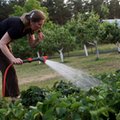 Działka rekreacyjna na wagę złota. Ceny biją rekordy, a eksperci apelują o więcej