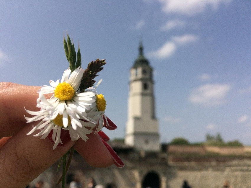 Uz malo volje i rada i Beograd bi mogao postati pametni grad