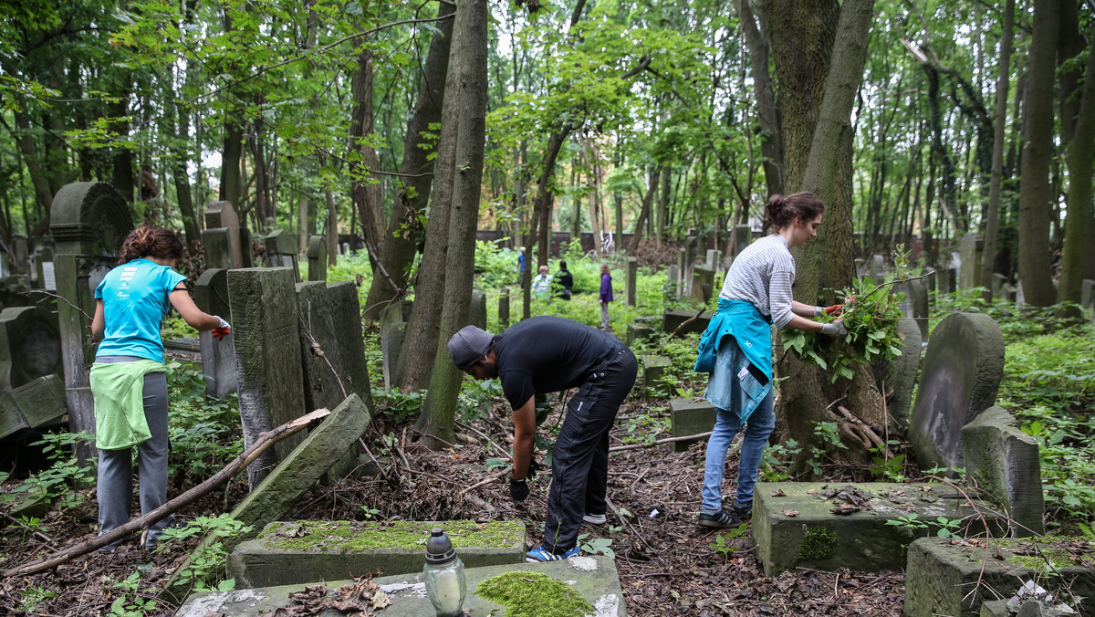 Trwa akcja sprzątania Cmentarza Żydowskiego w Warszawie