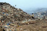 dzien´ ziemi 7 wysypisko śmieci w indiach
