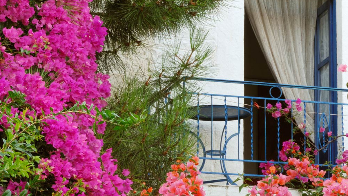 Balkon to miejsce, które w letnich miesiącach staje się oazą odpoczynku i relaksu. Dlatego już wiosną warto zadbać o jego wygląd - odświeżyć lub pomalować przybrudzone ściany, zasadzić w donicach kolorowe kwiaty, wystawić na taras meble wypoczynkowe, by każdą wolną chwilę móc spędzać na świeżym powietrzu. Wówczas piękny, umajony balkon z widokiem na niebo będzie cieszył nasze oczy aż do późnej jesieni - oczywiście o ile pozwoli na to słoneczna, ciepła aura.