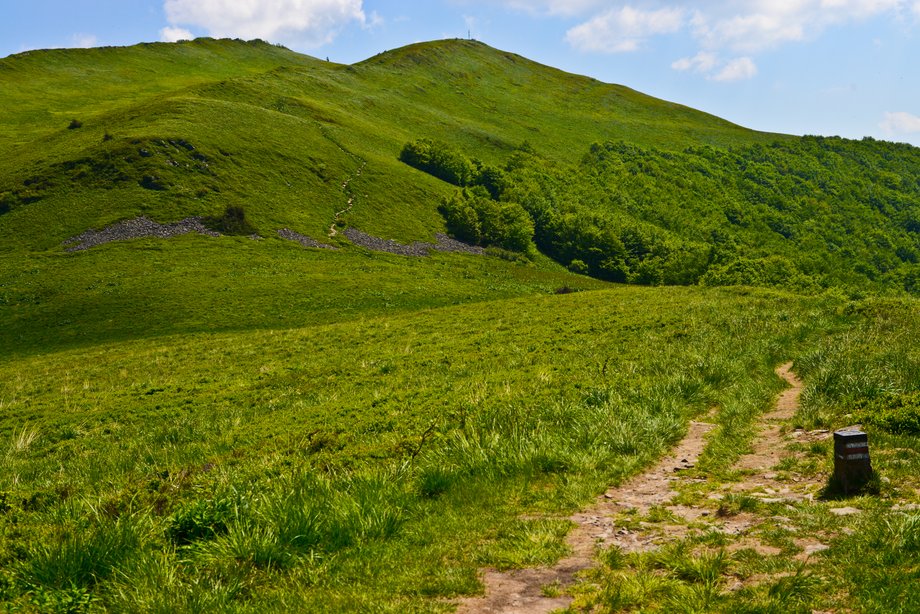 Bieszczady to jeden z najbardziej dzikich i tajemniczych zakątków Polski