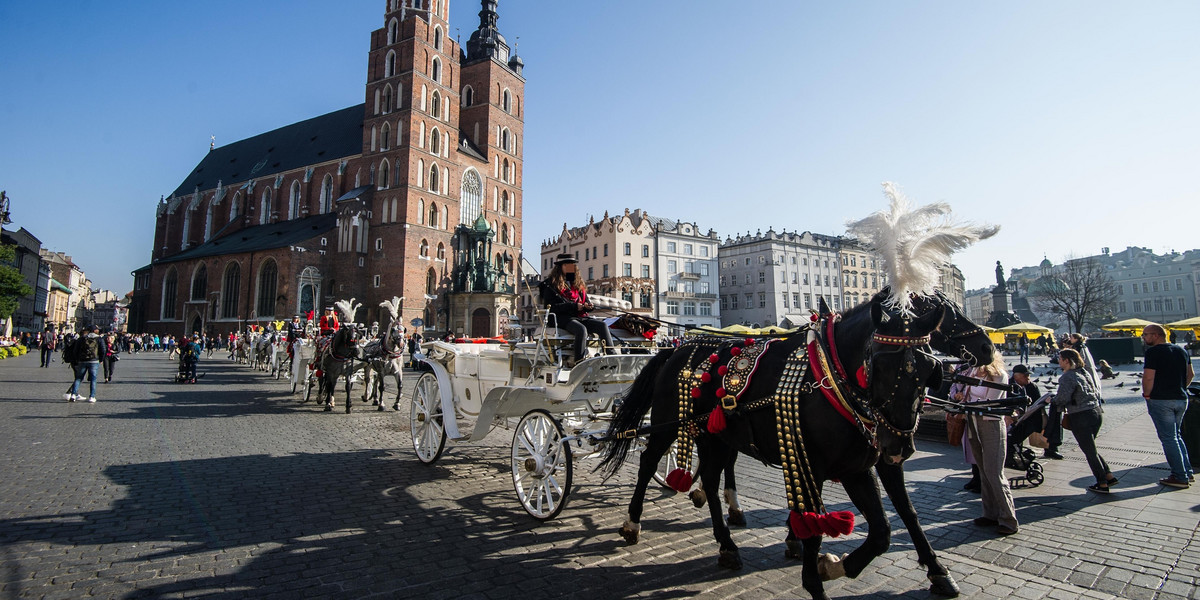 Zakaz dorożek konnych w Krakowie. Czy mieszkańcy będą mogli zadecydować?