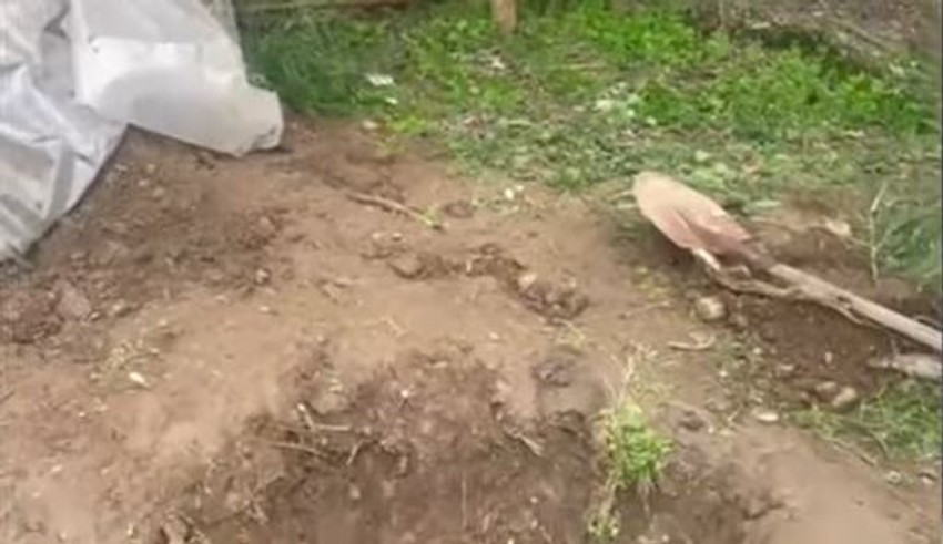 Mesto gde je Kostas zakopan