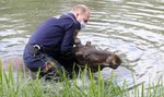 Niezwykły gość odwiedził Park Skaryszewski. Okazało się , że jest smakoszem róż