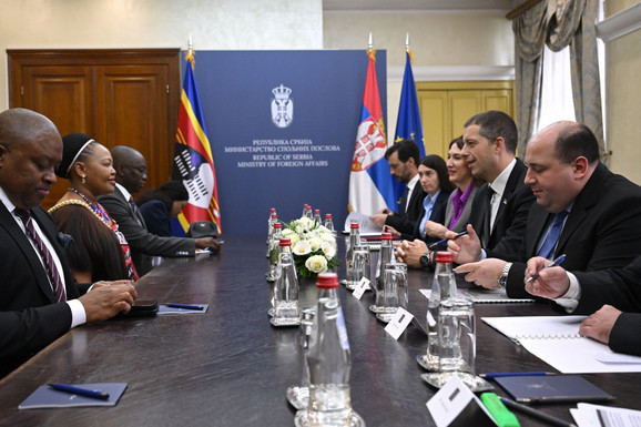 Đurić razgovarao sa ministarkom spoljnih poslova Esvatinija o saradnji i podršci teritorijalnom integritetu Srbije (FOTO)