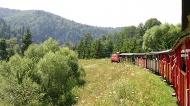 Bieszczadzka Kolejka Leśna rozpoczyna sezon - kursy w każdy weekend