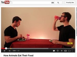 Jak zwierzęta zachowują się przy stole? Oto mały pokaz