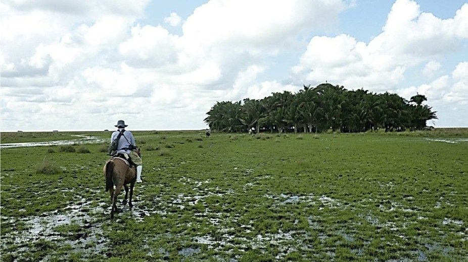 Stworzona przez człowieka wyspa na Llanos de Moxos