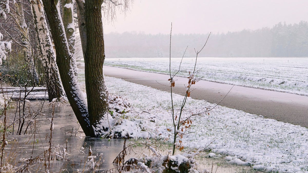 Jednek sa zaleđenom vodom