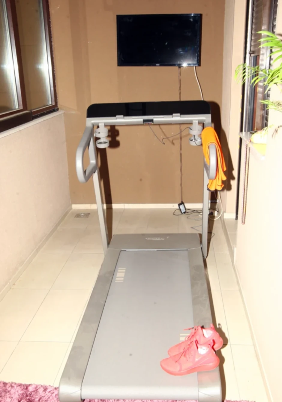 Stan Slađe i Đanija