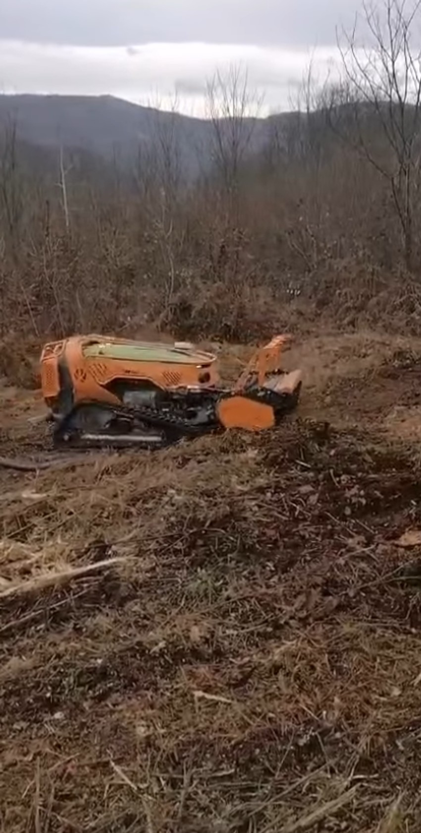 Marija je snimila kako se raskrčuje zemšljište, kao i nisko rastinje