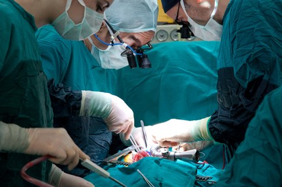 Génmódosított sertésszívet ültettek be klinikailag halott emberekbe
