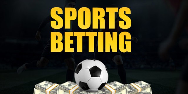 How to win at sports betting: Tips for beginners | Pulse Nigeria