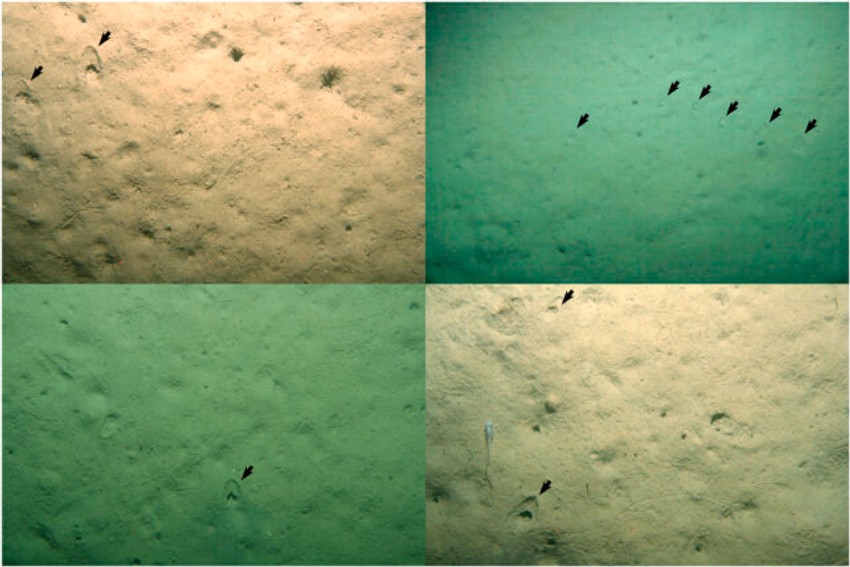 Otisci "kopita" na dnu okeana