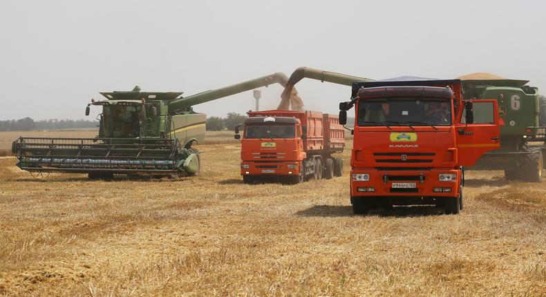 Farmers harvest with their combines in a wheat field near the village Tbilisskaya, Russia, July 21, 2021.