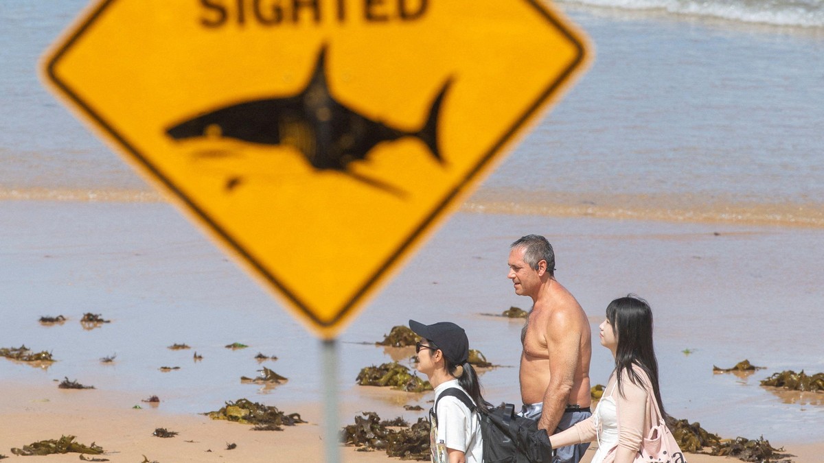 BBC | Foto: REUTERS/Jeremy Piper