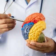 Alzheimer-kór kialakulása: kiderült, hogy nagyban okolható érte a stressz