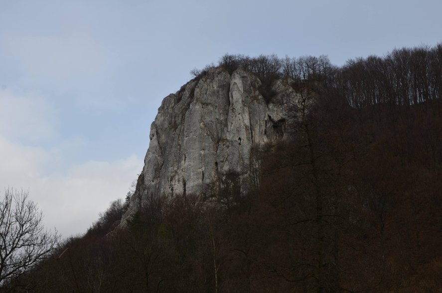 Dolina Będkowska - Sokolica. 