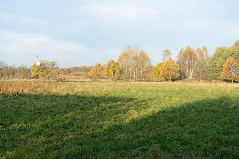 Obwodnica Leśnicy we Wrocławiu