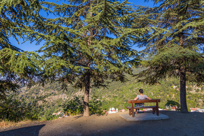 Góry Troodos