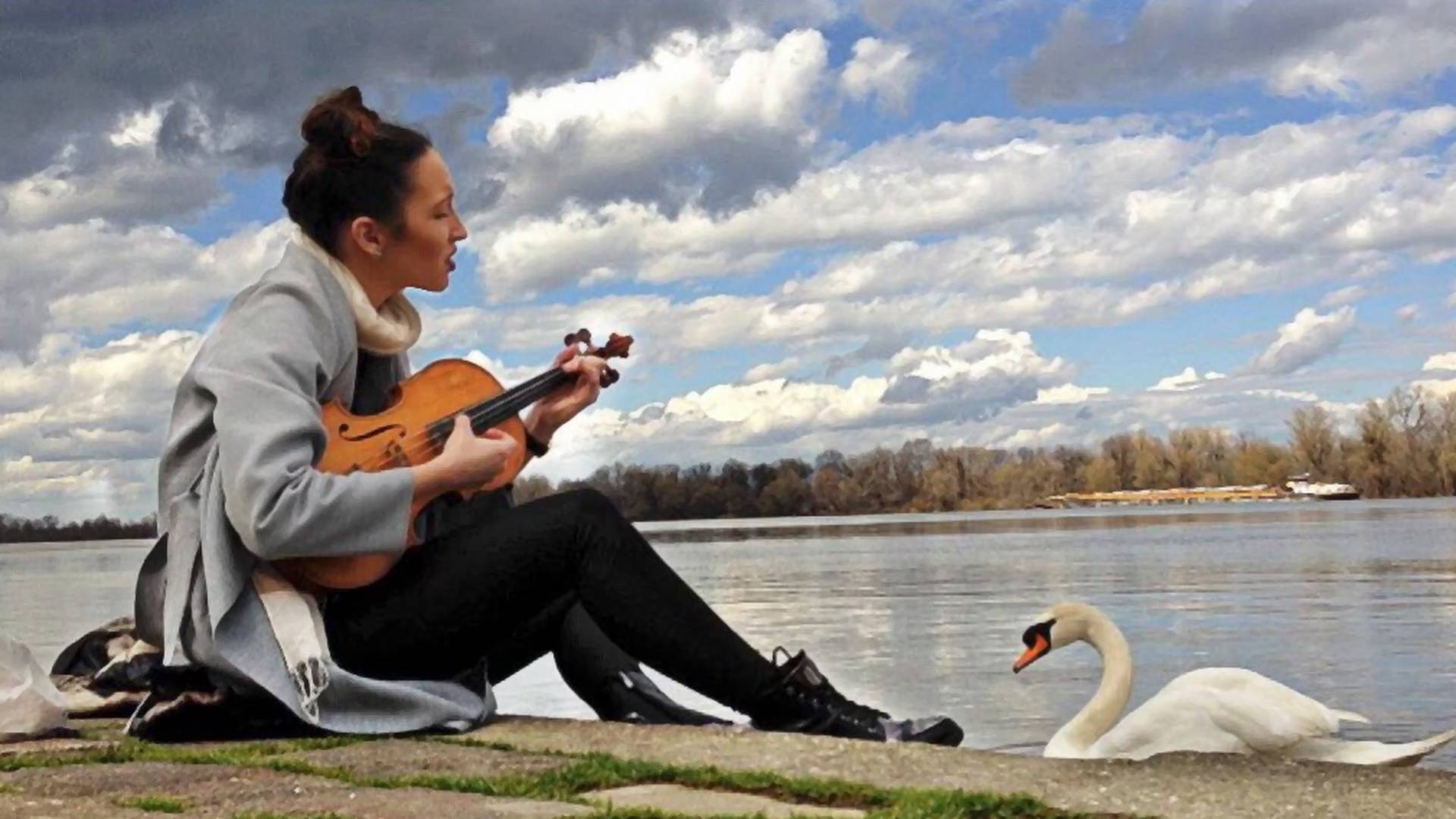 Pesma lepe violinistkinje za usamljenog labuda na Dunavskom keju je najlepši video godine