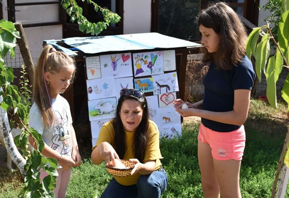 Bački zoo vrt u Kovilju