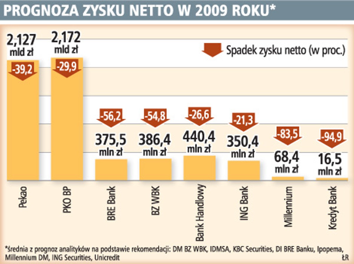 Prognoza zysku netto w 2009 roku